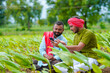 © Niks Ads - Indian farmer using smartphone at green turmeric agriculture field.
