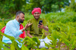 © Niks Ads - Indian farmer using smartphone at green turmeric agriculture field.