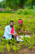 © Niks Ads - Indian farmer using smartphone at green turmeric agriculture field.