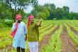 © Niks Ads - Young indian farmers at green turmeric agriculture field.