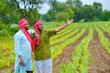 © Niks Ads - Young indian farmers at green turmeric agriculture field.