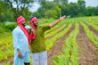 © Niks Ads - Young indian farmers at green turmeric agriculture field.