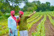 © Niks Ads - Young indian farmers at green turmeric agriculture field.