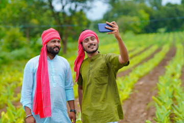 Wall Mural - Indian farmer using smartphone at green turmeric agriculture field.