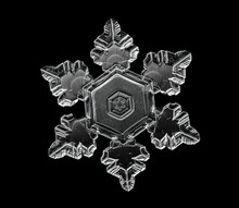 White Snowflake Isolated On Black Background. Illustration Based On Macro Photo Of Real Snow Crystal: Elegant Star Plate With Short, Broad Arms, Glossy Relief Surface And Complex Inner Details.
