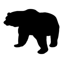 Vector Illustration Of A Bear. Black Silhouette On A White Background.