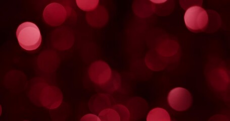 Wall Mural - elegant christmas light bokeh background