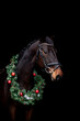 Brown horse portrait with christmas wreath