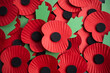 World War remembrance day. Red poppy is symbol of remembrance to those fallen in war. Red poppies background