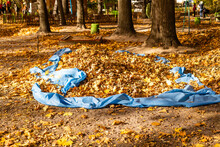 Gathering Autumn Leaves - Landscape, Cleaning The Park.