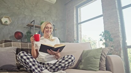 Poster - Charming curious lady sit cozy sofa read interesting book drink tea