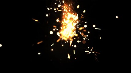 Canvas Print - New Year's fireworks on a black background. Filmed is slow motion 1000 frames per second.High quality FullHD footage