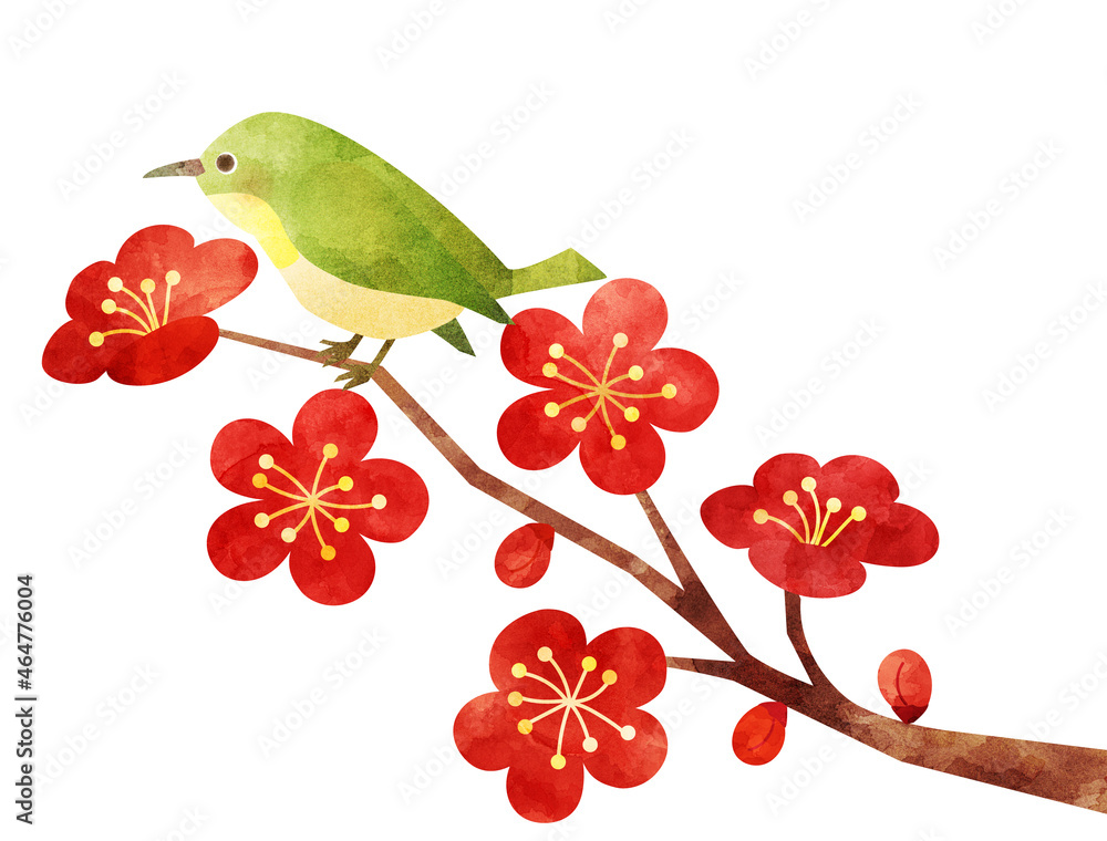 Stock-Illustration „水彩風に加工した梅にとまっている鳥のイラスト