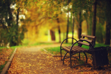 sunny landscape in fall park, autumn season background orange park