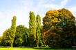 English Garden in Munich, autumn, golden October