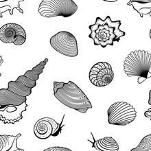 Vector Seamless Pattern Of Detailed, Realistic, Various Outline Sea Shells, In Black Color, On White Background