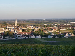 Wall Mural - The small village of Meursault during autumn. The 19th October 2021, Burgundy region, France.