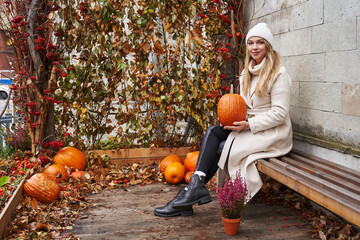 a beautiful young woman in light warm clothes sits on a bench against a background of autumn foliage and decor of pumpkins and heather in a clay pot and holds a beautiful orange pumpkin in her hands.