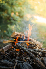 Poster - Vertical closeup shot of the campfire in the forest - leisure