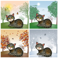 Wall Mural - cat in the landscape in the four seasons