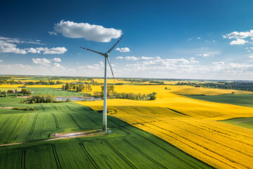 Wall Mural - Amazing blooming raps flowers and wind turbine in countryside.