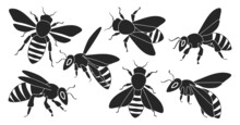 Honey bee isolated black set icon. Vector illustration animal of honeybee on white background. Vector black set icon honey bee .