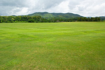 Wall Mural - landscape of green grass field and sky with mountain