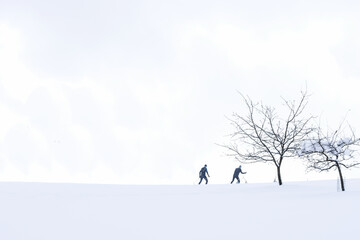 Background photo with naked trees and two silhouettes of skiers on cloudy day in winter time, copy space