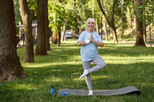 Happy Senior Lady In Tracksuit Does Tree Pose Practicing Yoga Asana In Park