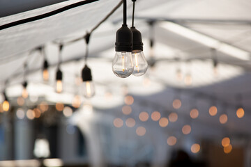 Wall Mural - A view of hanging vintage style lightbulbs inside an event style tent.