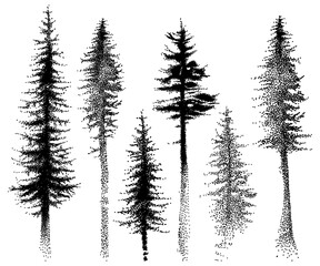 Set of dotted fir and pine forest trees in black isolated on white background.