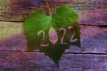 2022 year on a green vine leaf. 2022 harvest year in the wine industry concept. 