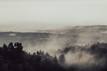 Wall Mural - fog over the mountains