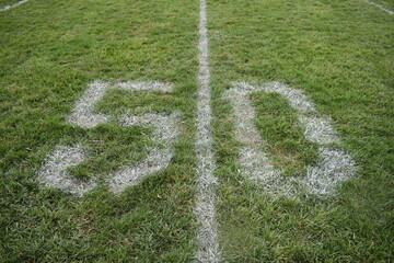 Sticker - Fifty Yard Line on a Football Field