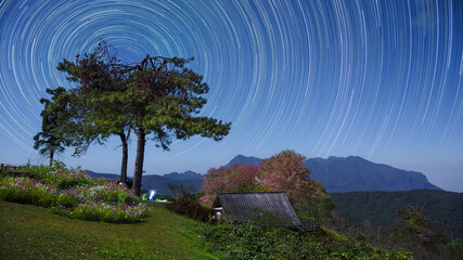 Wall Mural - beautiful doi luang chiang dao mountains at night and star trails, doi mae taman, san pa kia. chiang