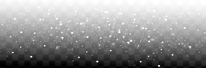 Wall Mural - Vector snowfall isolated. Winter background. Snow overlay illustration. Snowflakes and ice.