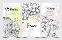 Vector Design Of Vintage Banners With Grape Vines, Wine Bottle, Glass And Cask