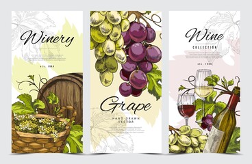 Cards or flyers for winery shop and wine production vector illustration.