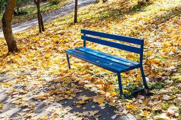 Wall Mural - empty blue wooden bench at lawn of city park on sunny autumn day