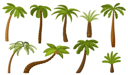 Sticker - Cartoon palm tree. Summer coco palms, jungle coconut. Isolated beach plants. Tropical island green flora, seaside landscape recent vector elements