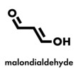 Malondialdehyde (MDA, enol form) molecule. Marker of oxidative stress and naturally produced during the lipid peroxidation of polyunsaturated fatty acids. Skeletal formula.