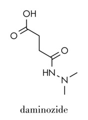 Poster - Daminozide (Alar) plant growth regulator molecule. Has been banned because of carcinogenicity concerns. Skeletal formula.