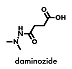 Poster - Daminozide (Alar) plant growth regulator molecule. Has been banned because of carcinogenicity concerns. Skeletal formula.