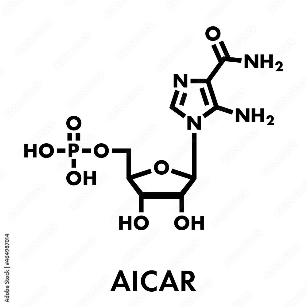 AICA ribonucleotide (AICAR) performance enhancing drug molecule. Used ...