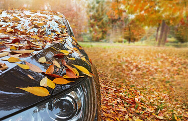 Transport, autumn, weather, vehicle concept. Car is near the park on autumnal day. Yellow leaves fall on the car. Nature background. Copy space. An empty place for your message. Selective focus.