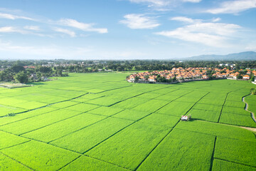Wall Mural - Land or landscape of green field in aerial view. Include agriculture farm, house building, village. That real estate or property. Plot of land to housing subdivision, development, sale or investment.