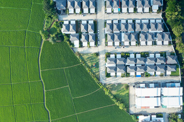 Wall Mural - land or landscape of green field in aerial view. include agriculture farm, house building, village. 