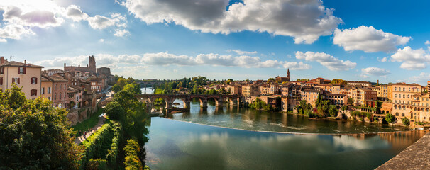 Wall Mural - The Tarn and its banks, from the Pont Neuf in Albi, in the Tarn, in Occitanie, France