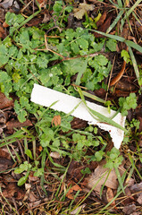 Poster - Piece of paper in grass