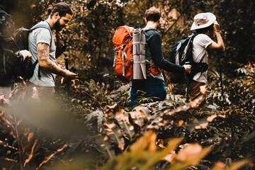 Wall Mural - Adventure desktop wallpaper background, trekking in the woods, warm tone